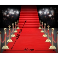 Tapis rouge étoile d'Hollywood