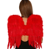 Ailes rouges en plumes - 45 x 53 cm