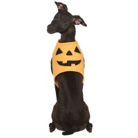 Costume de citrouille pour chien