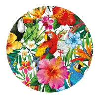 Assiettes de paysage tropical de 23 cm - 6 unités