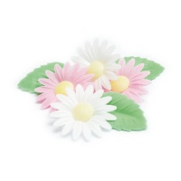 Disques comestibles en forme de fleurs de marguerite avec feuilles - Scrapcooking - 6 unités