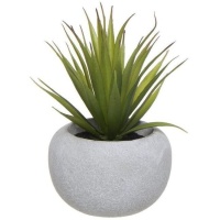 Plante artificielle de cactus avec pot rond en ciment de 10 x 16 cm