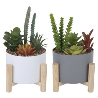 Plante artificielle avec cache-pot en deux couleurs et base en bois de 13 x 23 cm