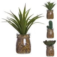 Plante artificielle de cactus avec pot en bocal de verre assorti de 5 x 16 cm