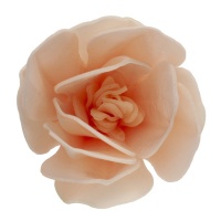 Oublies de fleurs de magnolia rose clair de 6,5 cm - Dekora - 6 unités