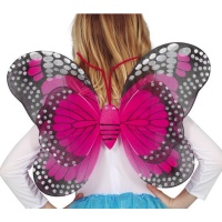 Ailes de papillon