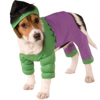 Costume de Hulk pour chien