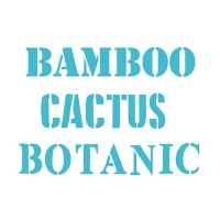 Gabarit Stencil mots Botanic, Cactus et Bamboo de 20 x 28,5 cm - Artis decor - 1 unité