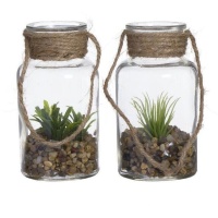 Plante artificielle dans une bouteille en verre assortie de 6,5 x 12,5 cm