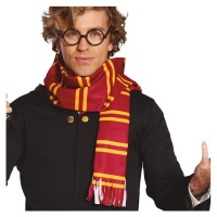 Ensemble de sorcier Harry pour enfant avec écharpe et lunettes