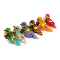 Ensemble de petits oiseaux décoratifs avec pince - 6 unités