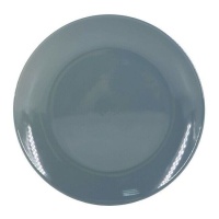 Assiette de 27 cm gris bleuâtre