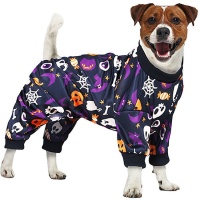 Déguisement Halloween pour chien