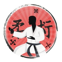 Assiettes de Karate de 18 cm - 8 unités