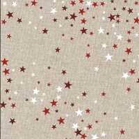 Toile canvas Recycled Xmas Dreams - Katia