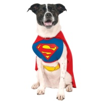 Déguisement de Superman pour chien