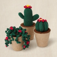 Kit de crochet avec boîte cadeau - Collection de cactus - DMC