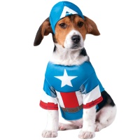 Déguisement de Captain America pour chien