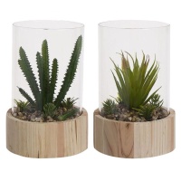 Plante artificielle de cactus avec pot en verre sur base en bois assortie de 14 x 20 cm