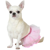 Costume de tutu rose pour chien