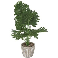 Plante artificielle monstera avec pot en ciment avec bordure de 15 x 56 cm