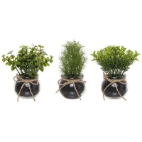 Plante artificielle avec pot rond en verre avec ruban assorti de 10 x 13 cm