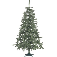 Sapin de Noël Douglas de 2,10 m