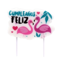 Bougies d'Anniversaire Flamants Roses