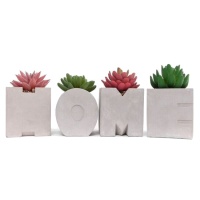 Plantes artificielles de cactus avec pot Home de 32,3 x 8 x 14 cm - 4 unités