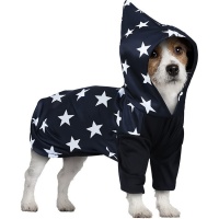 Costume de magicien pour chien