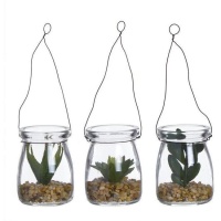 Plante artificielle de cactus dans un bocal en verre à suspendre assorti de 5 x 7 cm