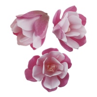 Gaufrettes de fleurs de magnolia de 6,5 cm - Dekora - 6 unités