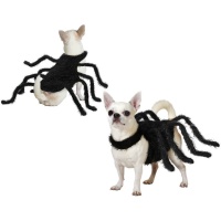 Costume d'araignée pour chien