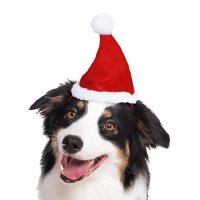 Chapeau de Père Noël pour animaux de compagnie