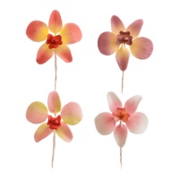 Décoration d'orchidées colorées de 7,6 cm - Dekora - 20 unités