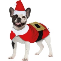 Déguisement de Père Noël pour chien