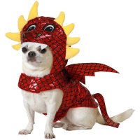 Costume de dragon pour chien