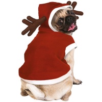 Costume de renne pour chien